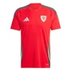 Wales Thuisshirt 2024 Voetbalshirts Korte Mouw