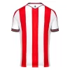Stoke City FC Thuisshirt 2024-2025 Voetbalshirts Korte Mouw-1